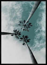 3 Palm Trees Perspective Print