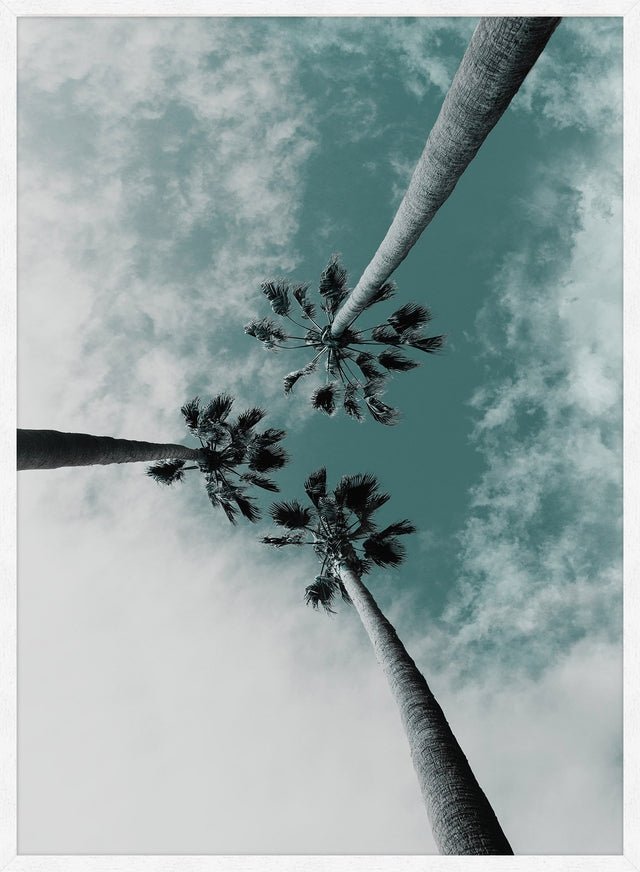 3 Palm Trees Perspective Print
