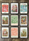 9 Prints & Frames - Vintage Prints 1