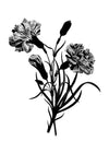 Black and White Vintage Bouquet 3