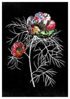 Botanical 6 Black Rose Print