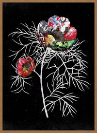 Botanical 6 Black Rose Print