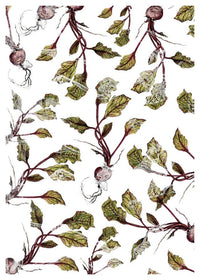 Botanical Beetroot Print