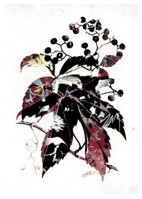 Botanical Leaves Print