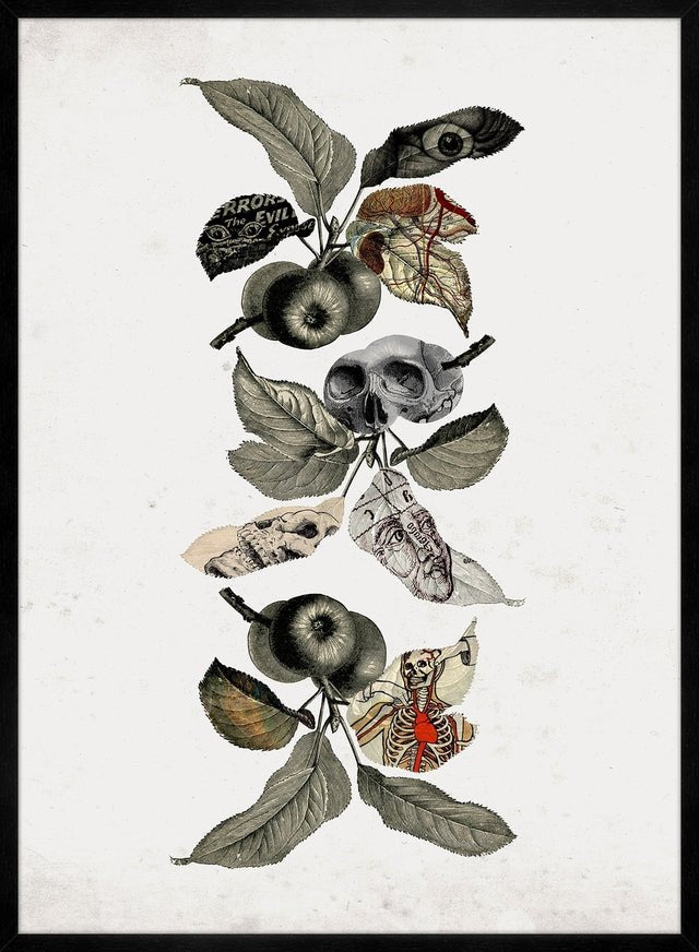 Botanical Skulls Print