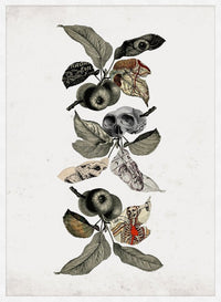 Botanical Skulls Print