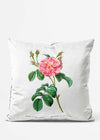Vintage Thorny Rose Cushion