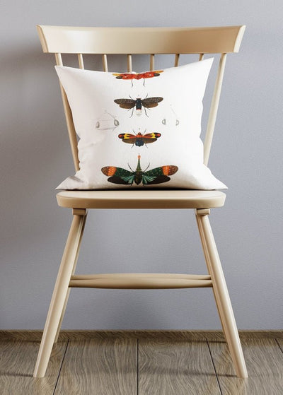 VIntage Butterflys Cushion