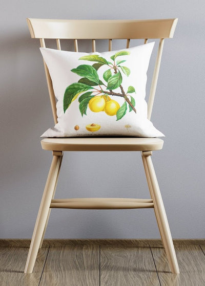 Vintage Plum Illustration Cushion