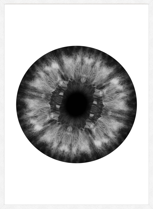 Eyeball Black And White Print