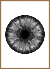 Eyeball Black And White Print