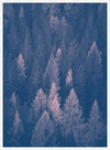 Forest Pink and Blue Print