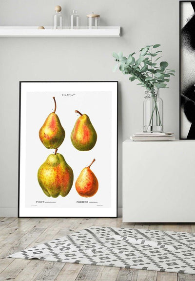 Four Pears Vintage Antique Print