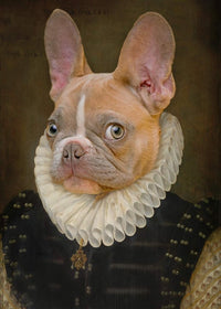 French Bulldog Portrait Print