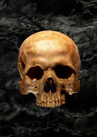 Gold Skull Marble Print