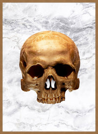 Gold Skull Marble Print White