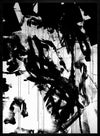 Graffiti Girl 1 Print