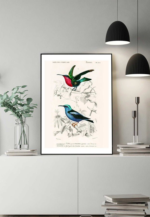 Hummingbird Vintage Bird Print