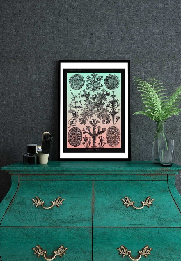 Lichens Pink and Teal Vintage Antique Print
