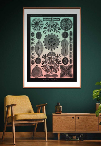 Marine Life Pink and Green Vintage Antique Print