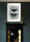 Moths Black & White Illustration Gothic Print