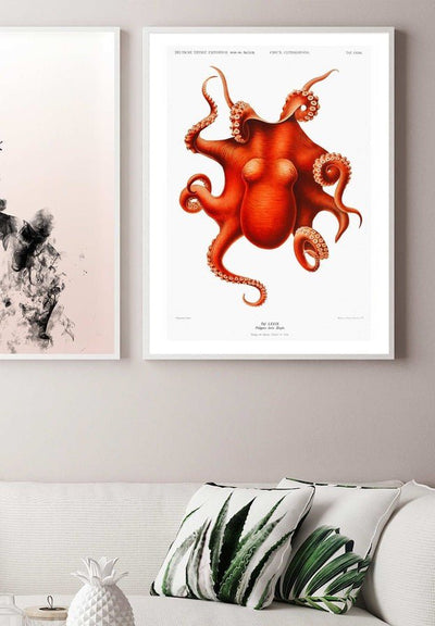 Octopus Vintage Antique Print