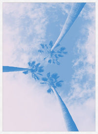 Palm Trees Pink Blend Print