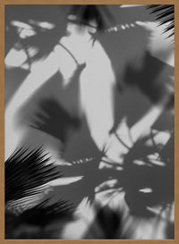 Palm Trees Shadow Print