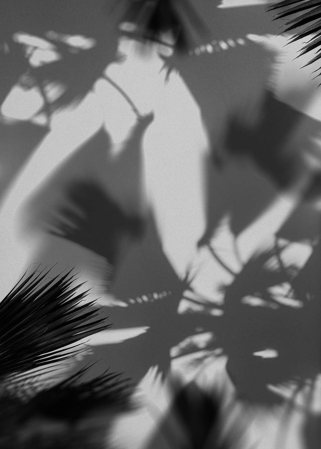 Palm Trees Shadow Print