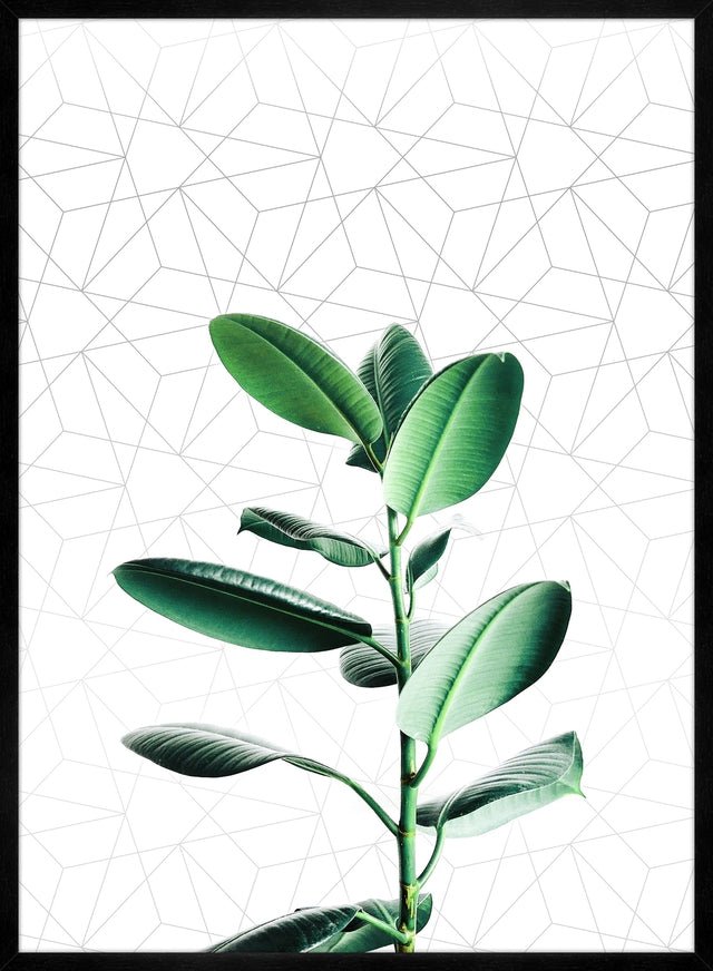Plant Geometric Print