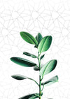 Plant Geometric Print