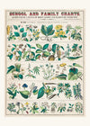 School and Family Charts - Uses of Plants Botanical Print