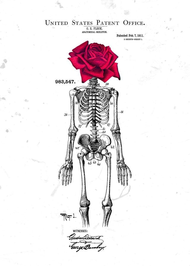 Skeleton Rose Print White
