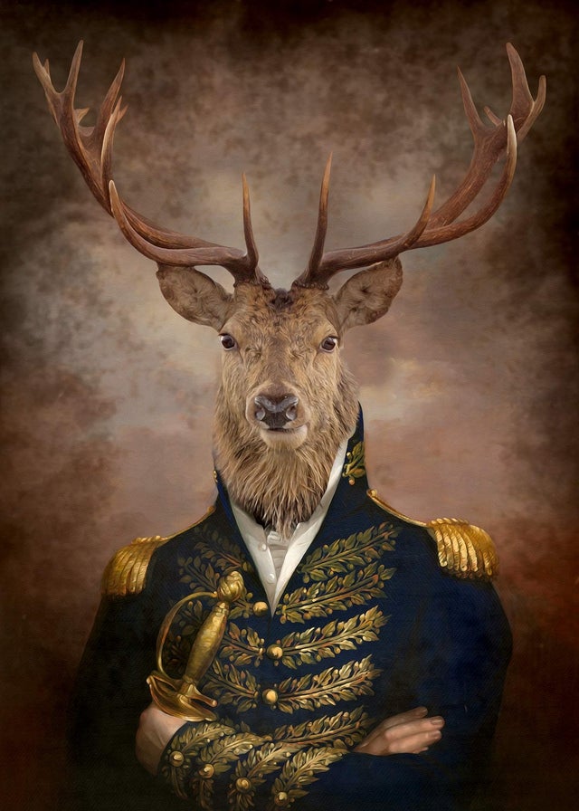 Stag Portrait Print