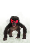 Super Chimp! Little Heroes Animal Print