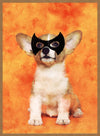 Super Puppy! Little Heroes Animal Print
