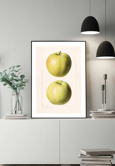 Two Apples Vintage Antique Print