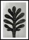 Vintage Botanical Study 1 Black and White Art Print