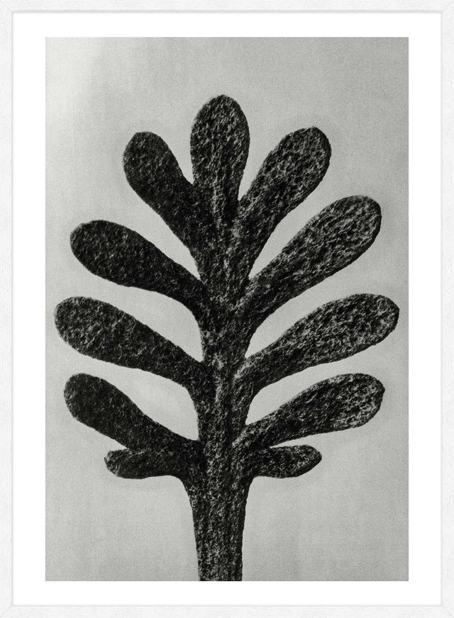 Vintage Botanical Study 1 Black and White Art Print
