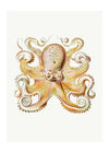 Vintage Octopus Illustration Print