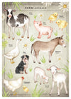 Vintage Style Farmyard Animals Chart Educational Print