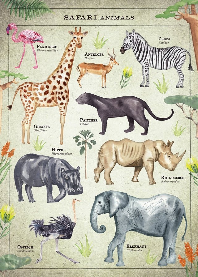 Vintage Style Safari Animals Chart Educational Print