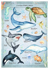 Vintage Style Sea Creatures Chart Educational Print