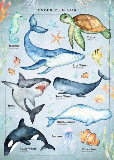 Vintage Style Sea Creatures Chart Educational Print