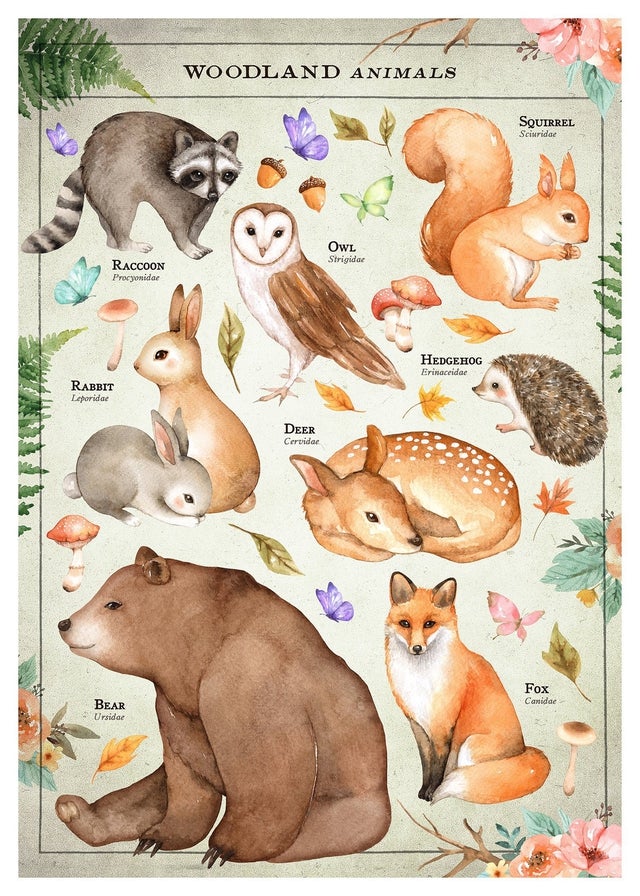 Vintage Style Woodland Animals Chart Educational Print