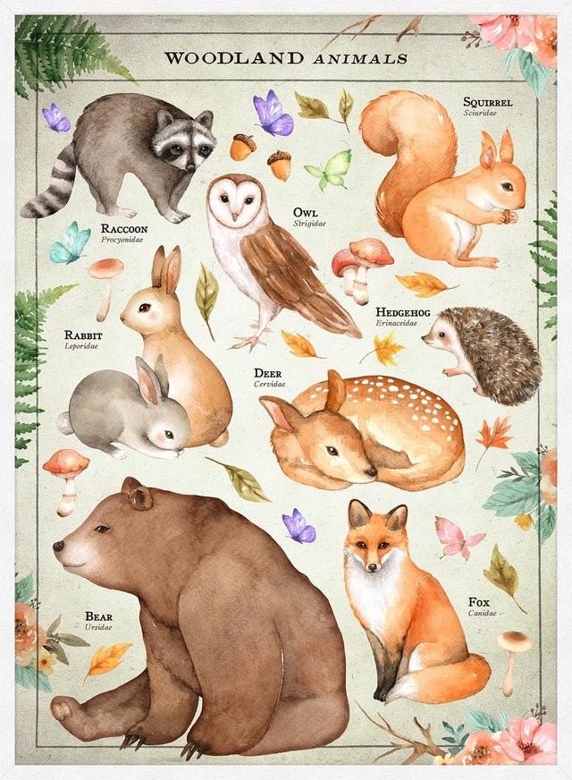 Vintage Style Woodland Animals Chart Educational Print