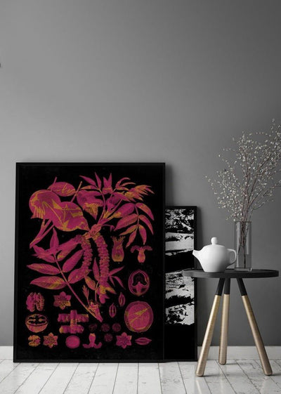 Vintage Walnut Botanical Black Print