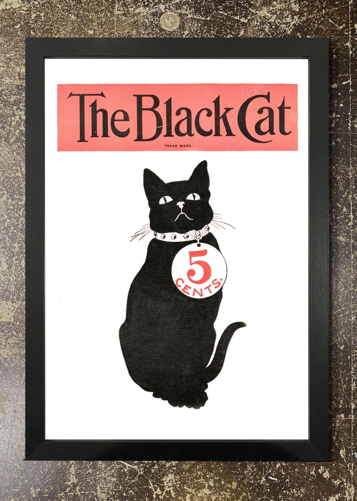 Black Cat - Framed 21x30cm Print