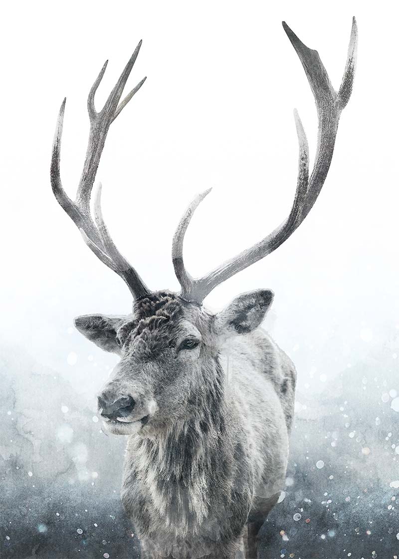 Reindeer Snow Portrait Christmas Print