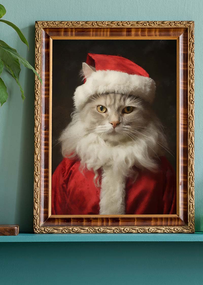 Christmas White Cat Animal Portrait Print